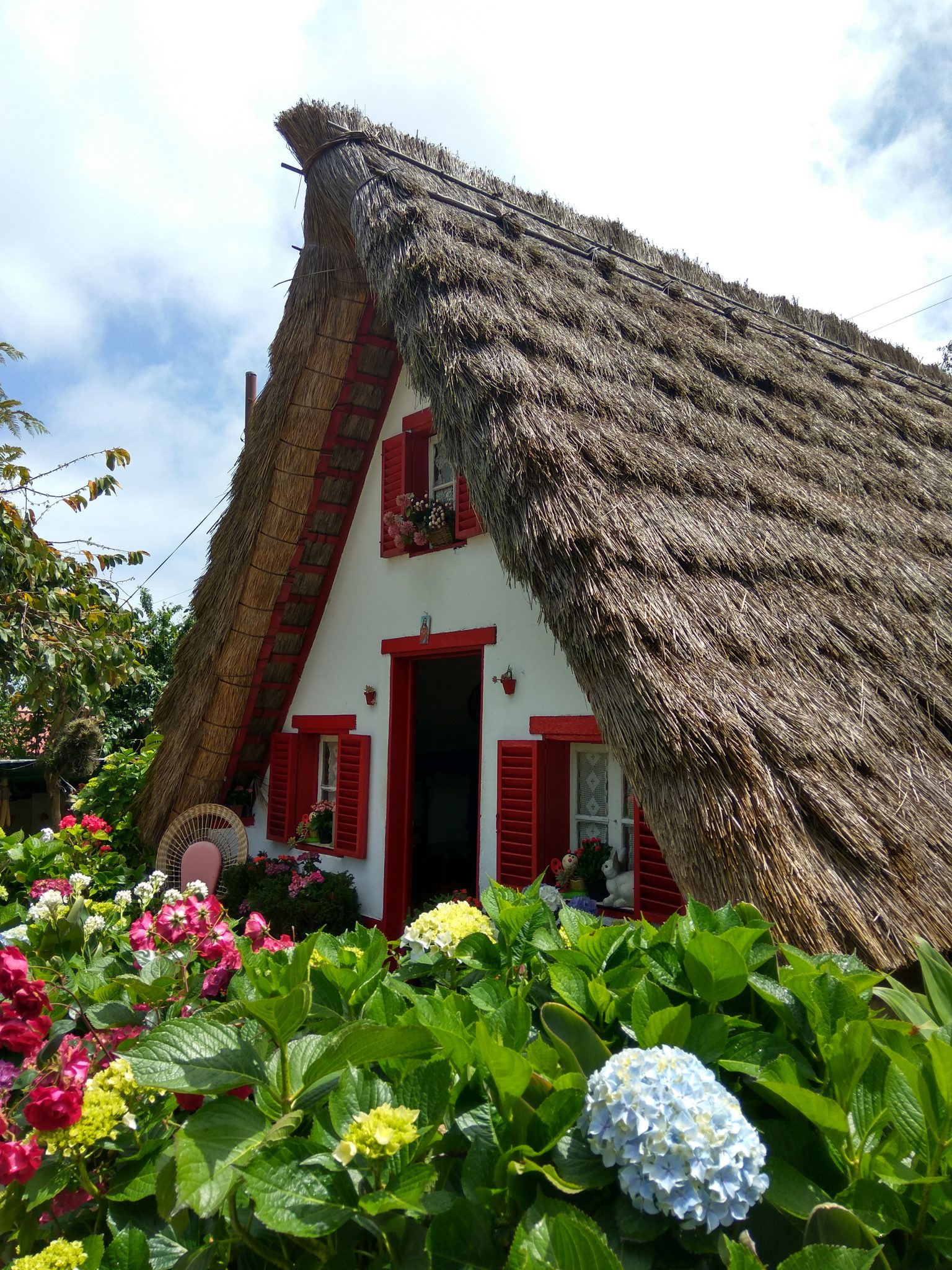 dia3-madeira-imagem-3