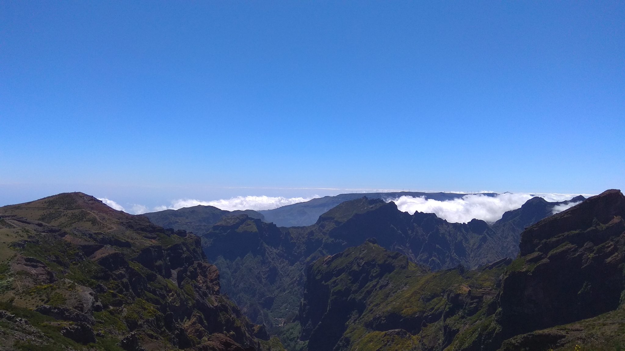 dia3-madeira-imagem-4