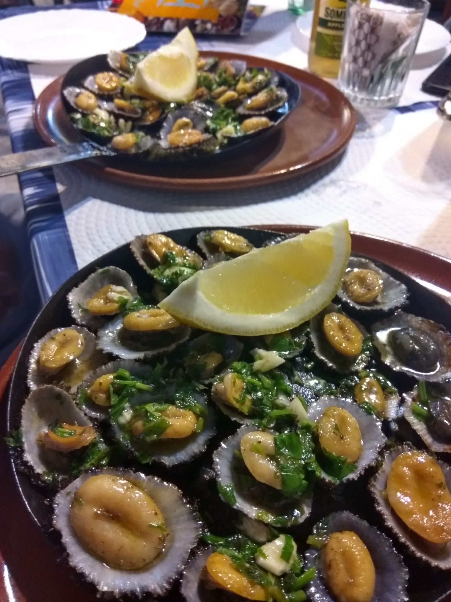 dia4-madeira-imagem-5